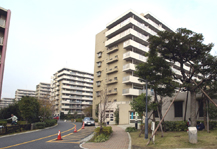 シティコート大島 建物写真