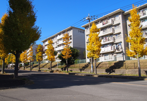 UR小金原 建物写真