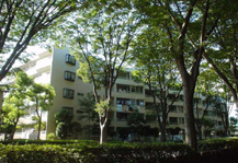 常盤平けやき通り住宅 建物写真