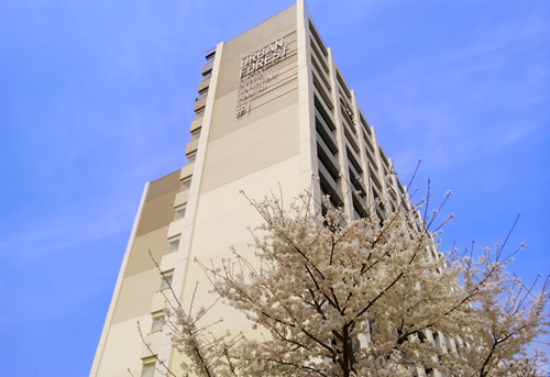 朝霞浜崎 建物写真