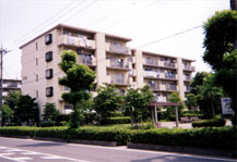 三郷早稲田パークハイツ 建物写真
