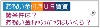 お祝い金キャッシュバック金額